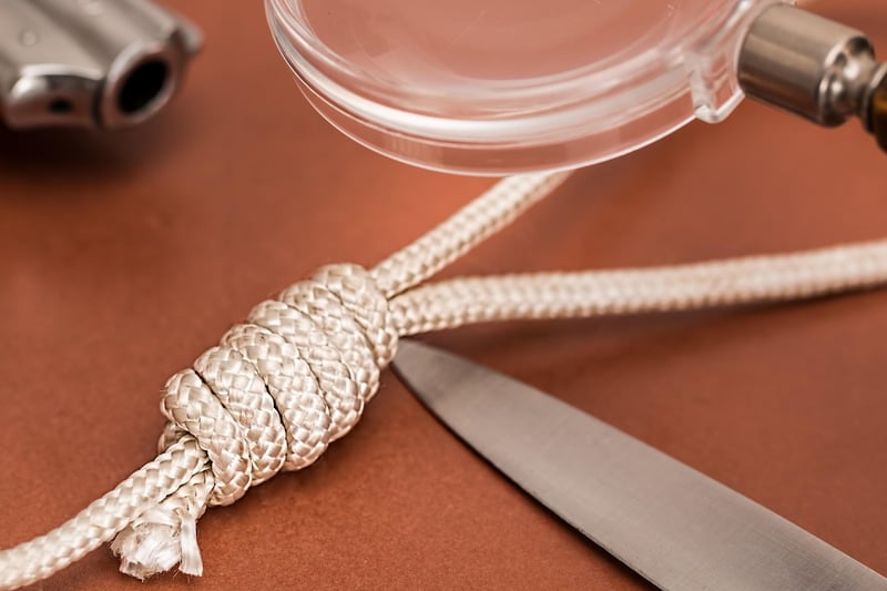 Homicide volontaire : les chiffres alarmants et tendances en 2026